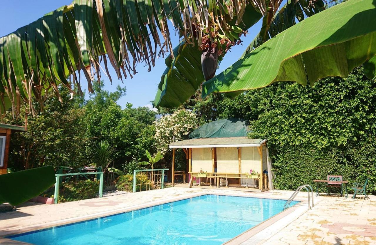 Green Bungalow Elea Екстер'єр фото