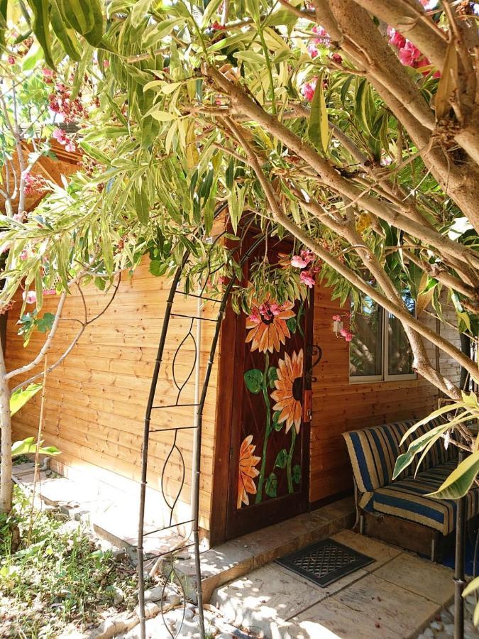 Green Bungalow Elea Екстер'єр фото