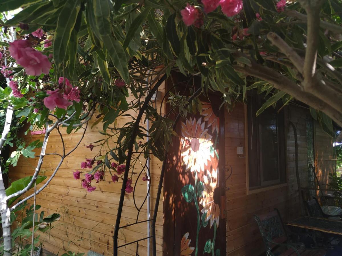 Green Bungalow Elea Екстер'єр фото