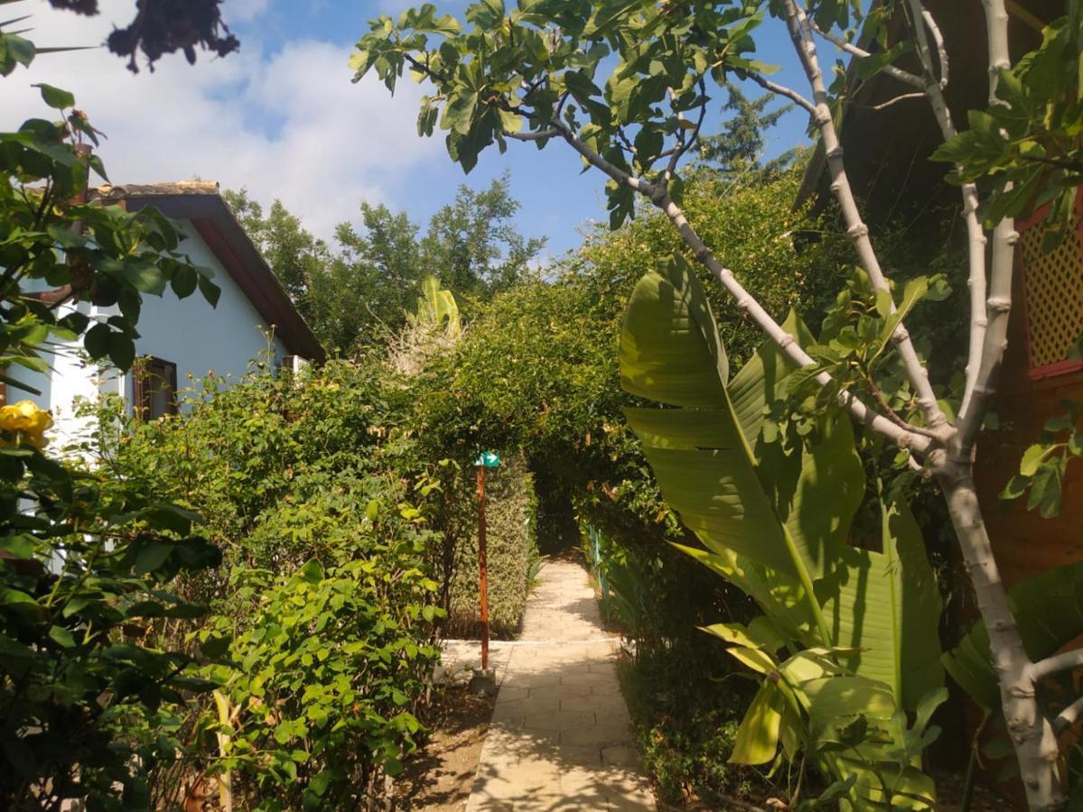 Green Bungalow Elea Екстер'єр фото