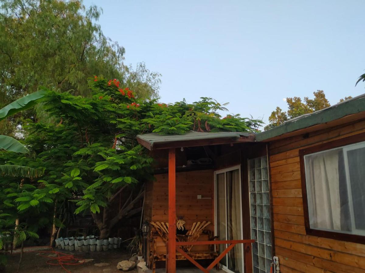 Green Bungalow Elea Екстер'єр фото