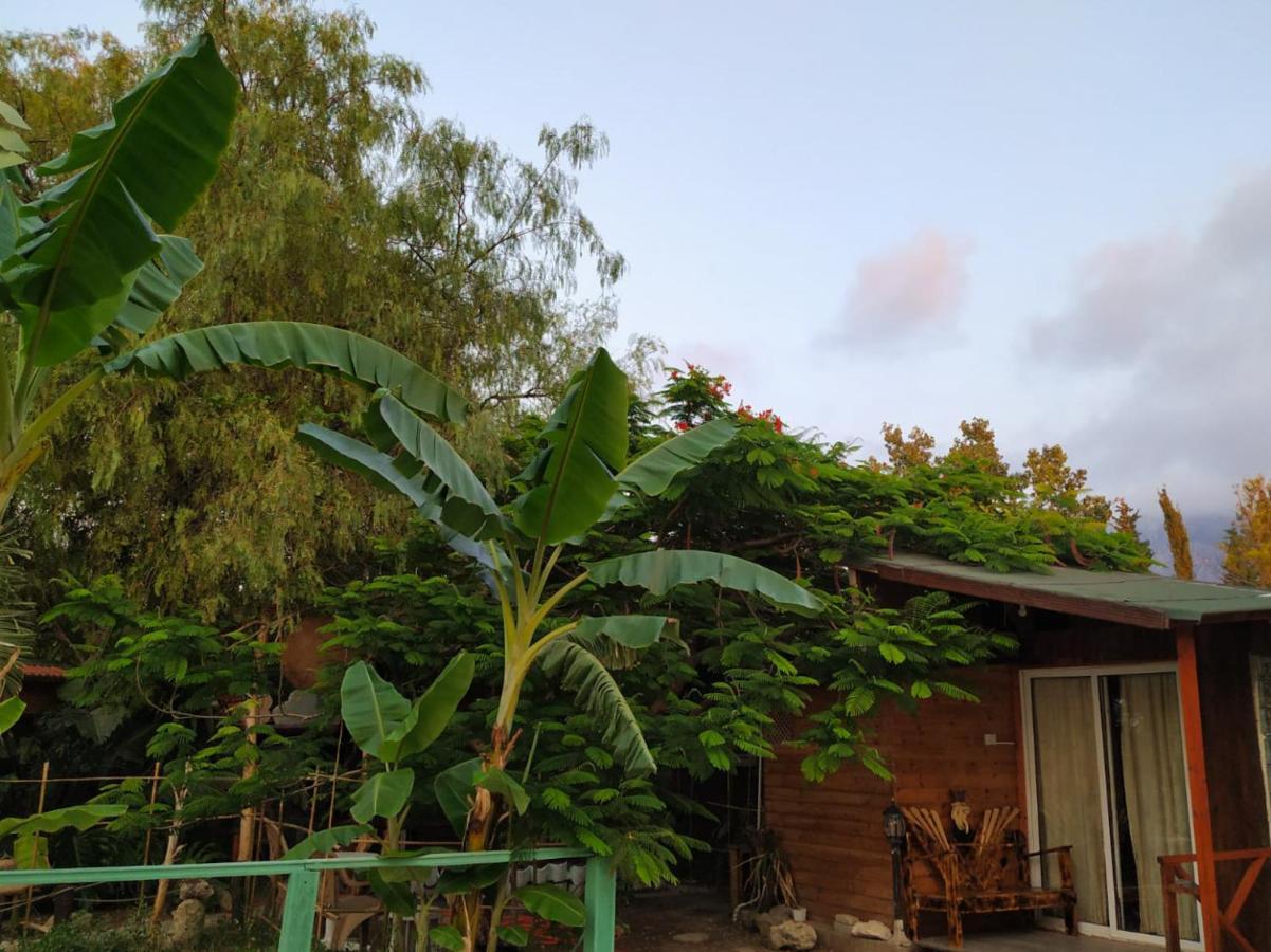 Green Bungalow Elea Екстер'єр фото