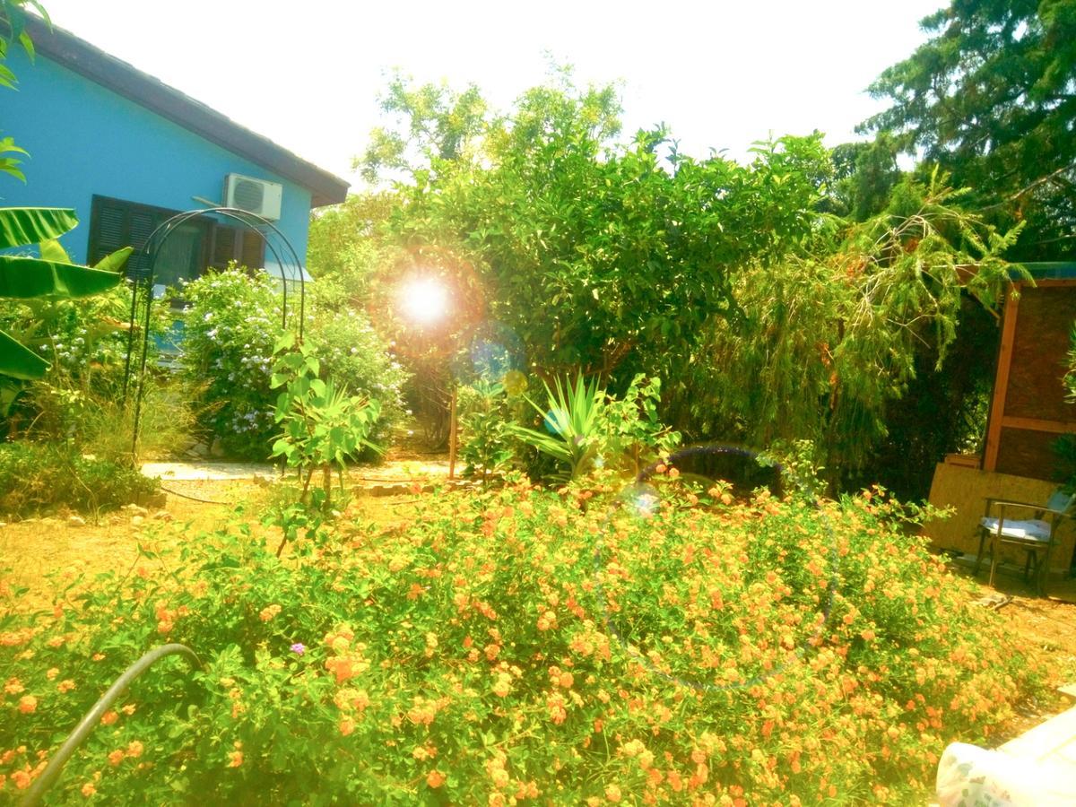Green Bungalow Elea Екстер'єр фото