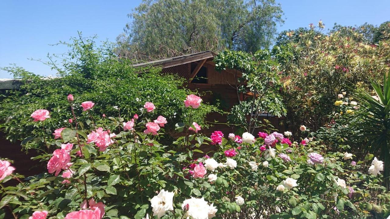 Green Bungalow Elea Екстер'єр фото
